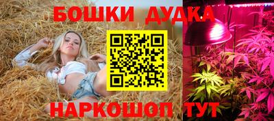 бошки Камень-на-Оби